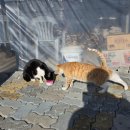 차와사람들 이미지