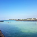 제주마중in판포 이미지