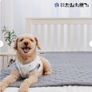 건강의료기 | 우리 집 따뜻한 비밀 엄마의 마음으로 고른 한일의료기 탄소매트 솔직 후기