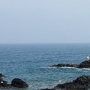 홀로 혼자 고독 바다 해변 갯바위 관망 자살 바닷가 탁트이다 후련하다 이미지