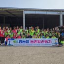 포항농업협동조합 이미지