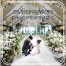 더밝은조명 | 본식스냅 DVD 꽃길필름 밝은 홀 더메리든 본식 촬영 후기! (후기 사진 O)