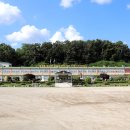 영평초등학교 이미지