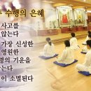 새로운질서강