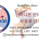 테라리움연구소 이미지