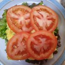 하재근농장 | 오픈 샌드위치와 커들드 에그... 콩전... 냉이밥... 안동찜닭... 콩국수... 아스트라제네카 접종후기...