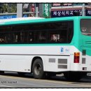 (버스)세교동태영아파트 이미지