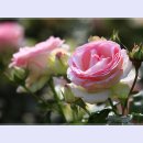 곡성-089 이미지