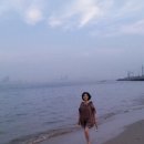 여름농장 이미지