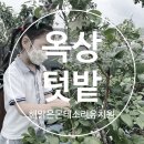 해맑은몬테소리유치원