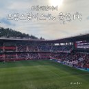 꼬꼬리그 | K리그 포항스틸러스 vs 울산 FC 관람 후기 예매 자리추천
