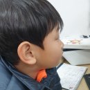 더마렉스 이미지