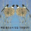 솜씨노리터 이미지
