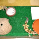 하이마리 이미지