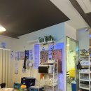 [서울/사당] 사당 막걸리, 모듬전 파는 “사당꿀전집”(내돈내산,솔직후기,꿀팁까지)