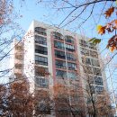 중앙 공인중개사사무소 이미지