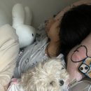 에프엠3차 | 하루에 해외여행 2군데 끊어버린 나…