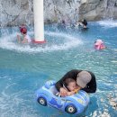 (주)아쿠아링크 | 뽀로로아쿠아빌리지 경주 아이와가볼만한곳 티켓 할인 정보