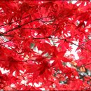 봄에새싹 이미지