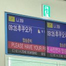 [여행/후쿠오카] 3박 4일 생일기념 후쿠오카 레추고🍜