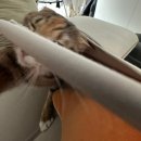 유한회사 마트온 | 유한하게 남은 날들을 다 가질 순 없으니 빈틈없이 사랑하자