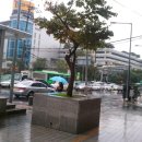 삼성테마트 앞 이미지