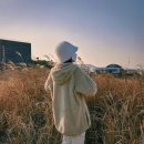 강원도동물위생시험소 | [제주도 여행기] 제주도 1위 아로마 마사지 받기, 천백고지(1100)에서 밤 하늘 별 보기!