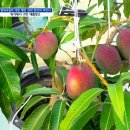 규화농장 이미지