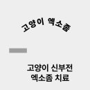 링크늘푸른동물병원 이미지