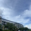 더큐브하우스리조트 | 제주도 서귀포 가성비 숙소 추천 ‘더큐브 리조트’ 내돈내산 4일 연박 후기 (디럭스 더블)