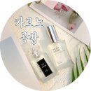 대구 공방 카보노 달성군 이색데이트
