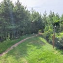 서샘물목장 이미지