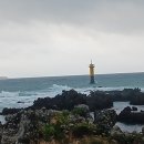 위미초등학교 이미지