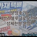 가재야 | [분양후기] 제블크가재 한쌍 분양후기