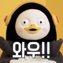 주식회사 일상의가치 이미지