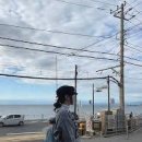 김혜선행정사사무소 이미지