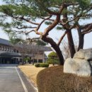 한성청과 이미지