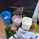 (주)겸산 | 고속터미널꽃시장 꽃사서 셀프 플라워박스 만들기~