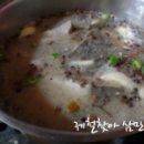 바다생선 이미지