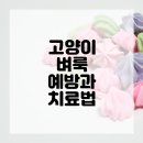 하나사랑동물병원 이미지