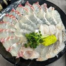 봉곡회식당 | [구미 봉곡동 맛집] 가성비와 서비스에 감동한 '인생횟집' 솔직 방문 후기