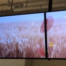 빽다방상계역점