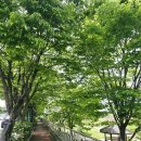 행복한마을 옆 | (전주) 가볼만한곳 한옥마을 놀거리 국민무형유산원 무료주차