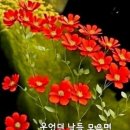 간추린 뉴스 이미지