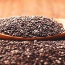 씨드요가 이미지