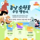 틱톡 이미지