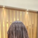 클래시아더퍼스트204호