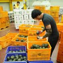 내촌농협 농산물산지유통센터 이미지