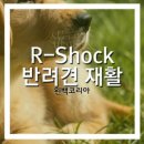 애니멀바이오케어 네이버블로그