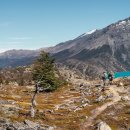 stay-494-43 이미지